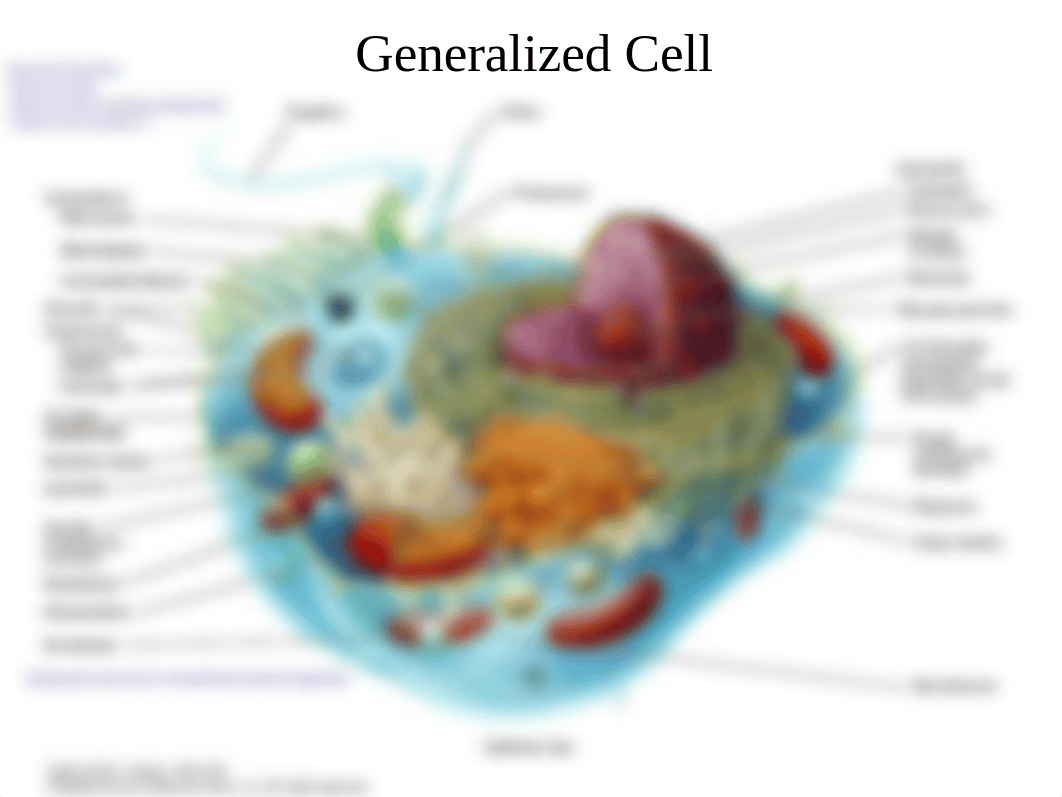 3-4.+Cell+I-II+BIOL460+F2014_dwmprlk2nq6_page2