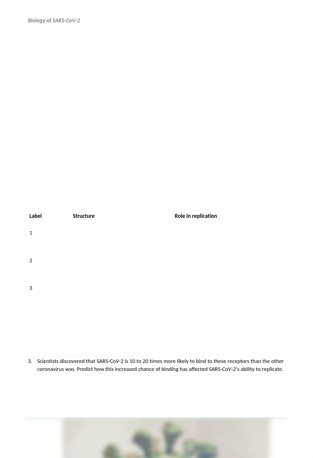 Lab 6 SARSCov2.docx_dwmtkcu2c1q_page2