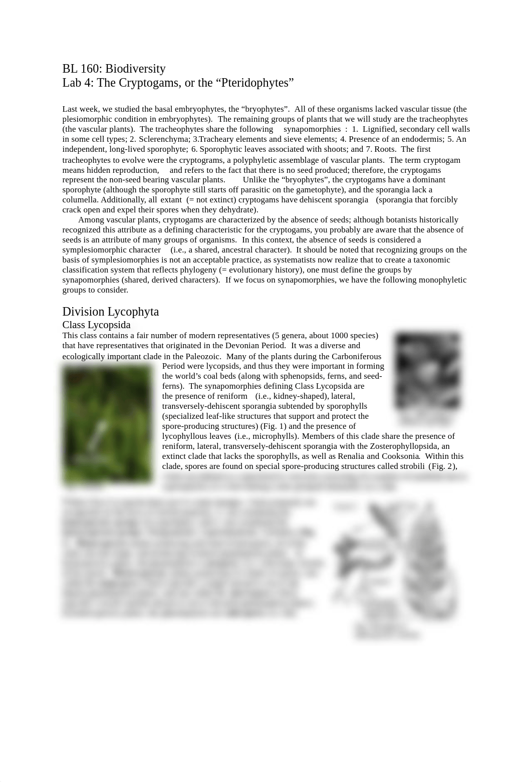 Biodiversity_Lab_cryptogams.pdf_dwmulfxpsr8_page1