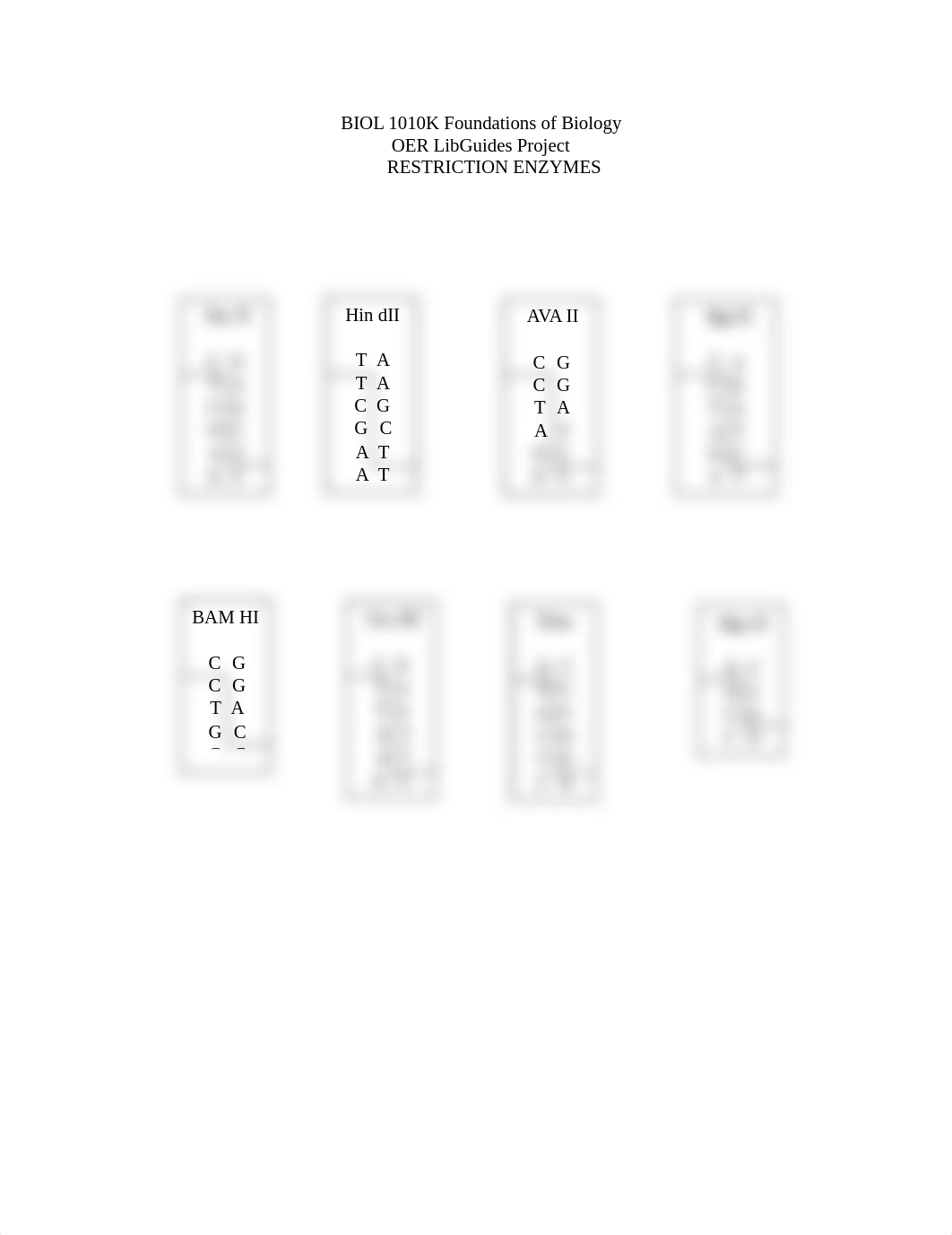 Restriction Enzymes Strips.pdf_dwmvq8gvax9_page1