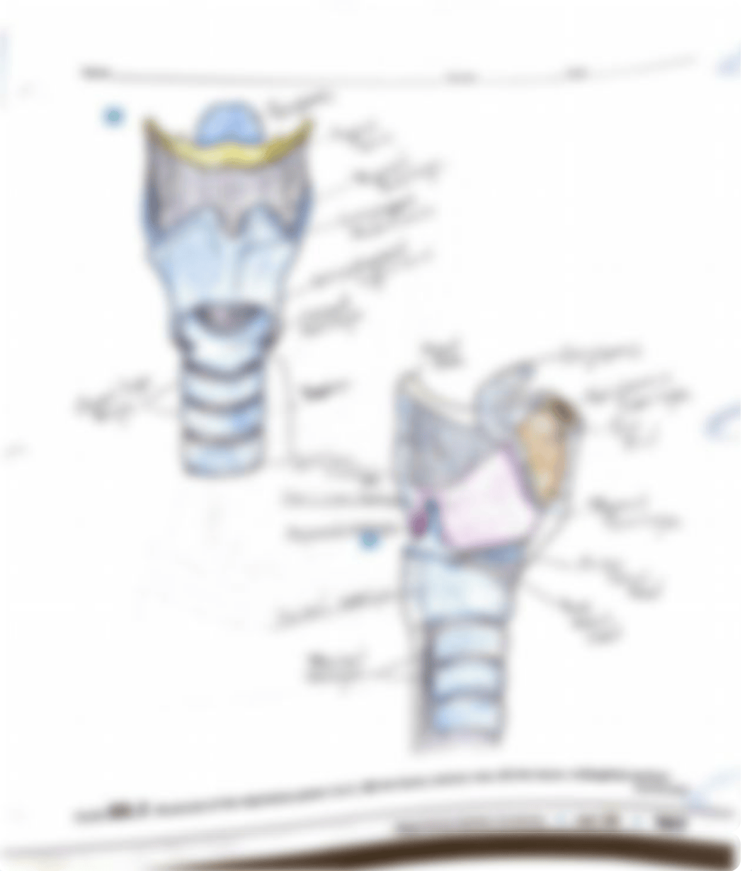 pre lab 22-2.pdf_dwmxjuv6pu5_page2