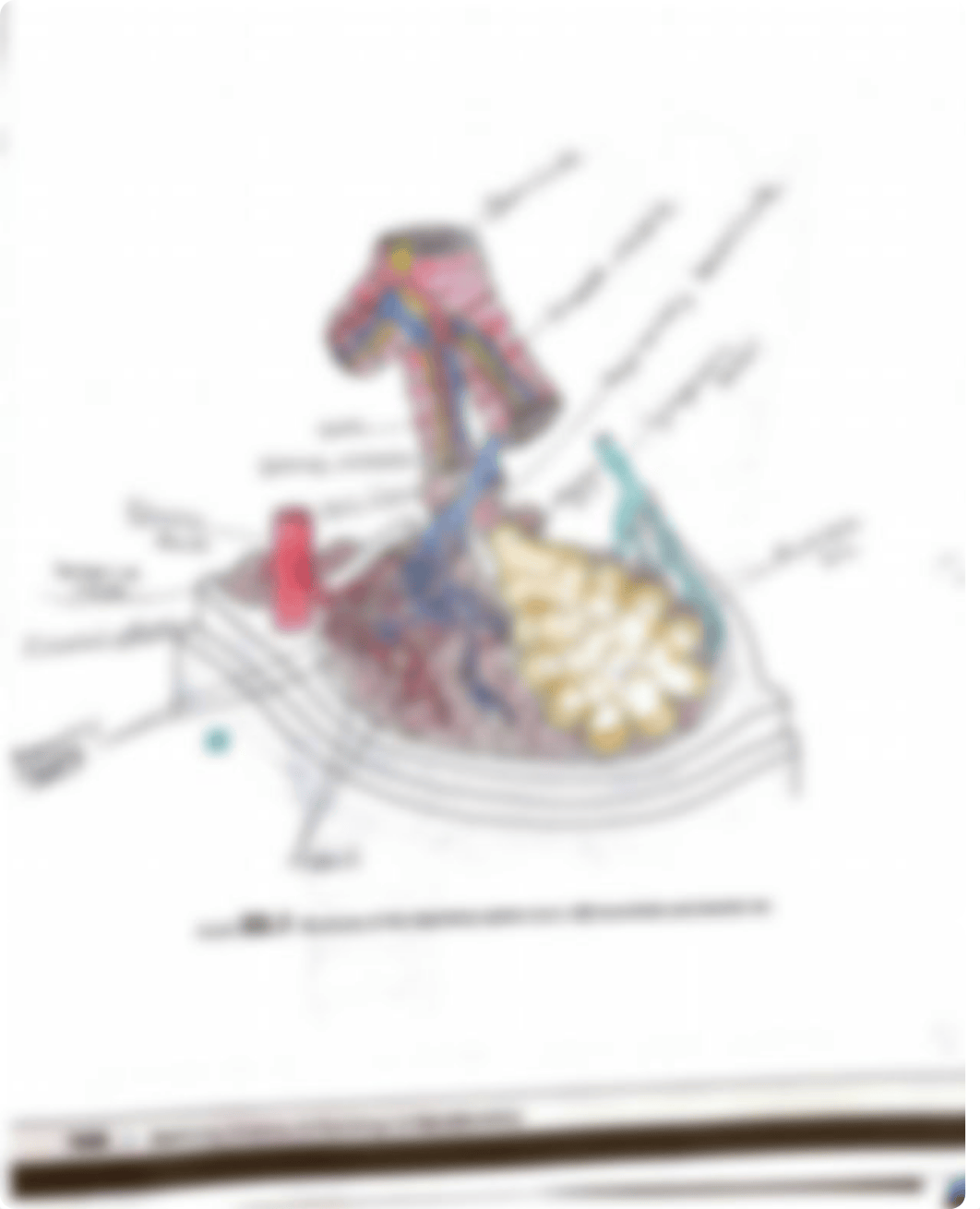 pre lab 22-2.pdf_dwmxjuv6pu5_page3