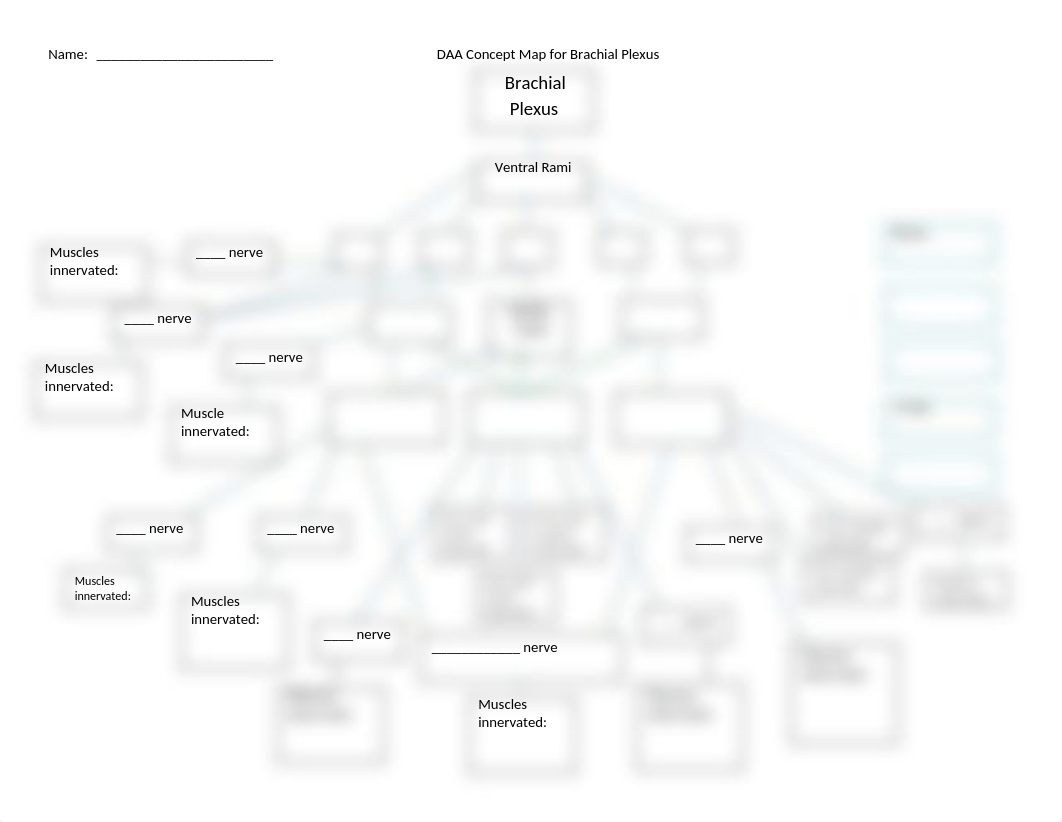 Concept Map for Brachial Plexus.docx_dwn9h8gmv7m_page1