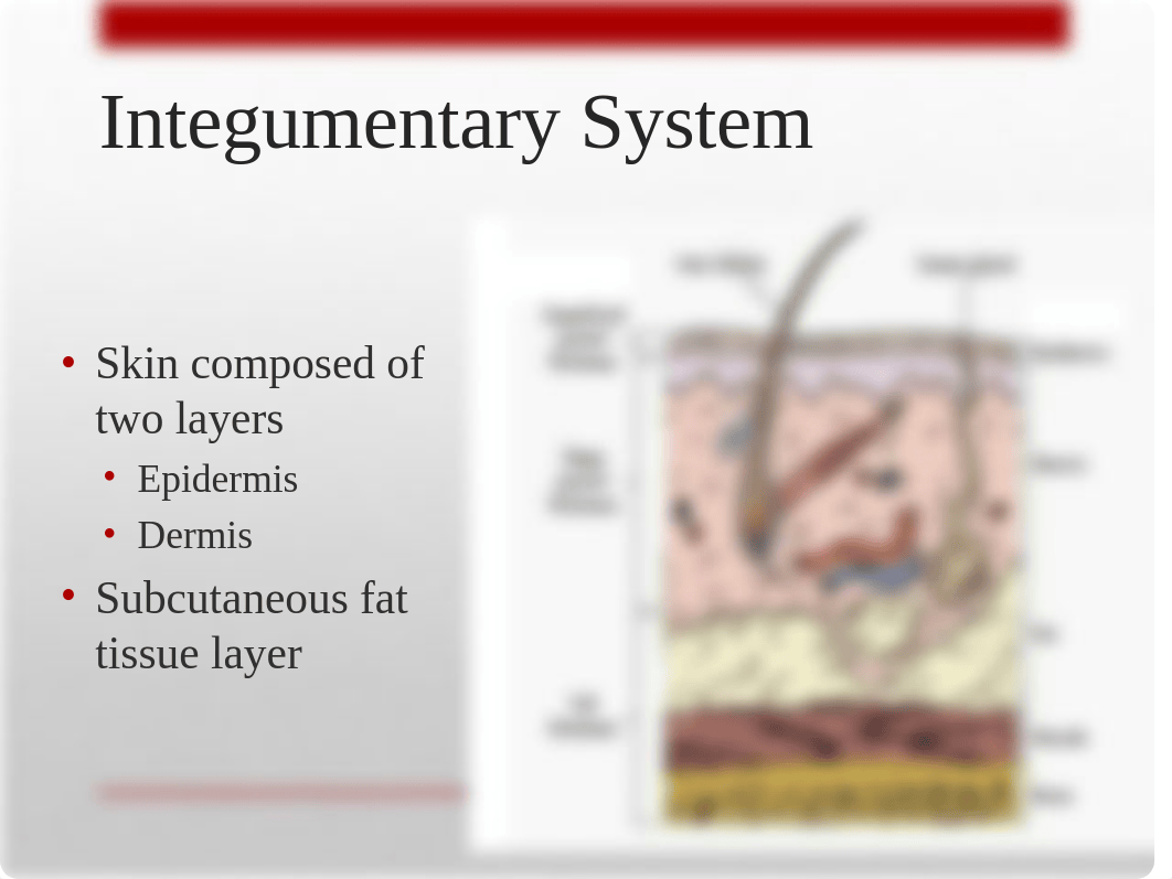 Burns.ppt_dwnkdptwjsp_page4