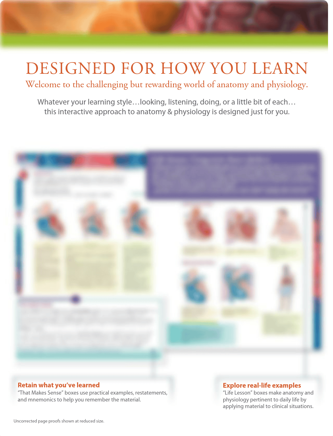 329052904-Principles-of-Anatomy-and-Physiology-14th-Tortora.pdf_dwnl54r2myo_page4