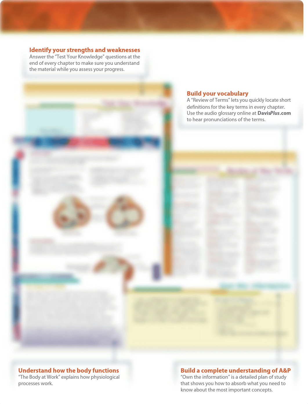 329052904-Principles-of-Anatomy-and-Physiology-14th-Tortora.pdf_dwnl54r2myo_page5