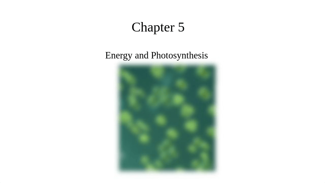 chapter_05_Photosynthesis.pptx_dwo3kmp7465_page1