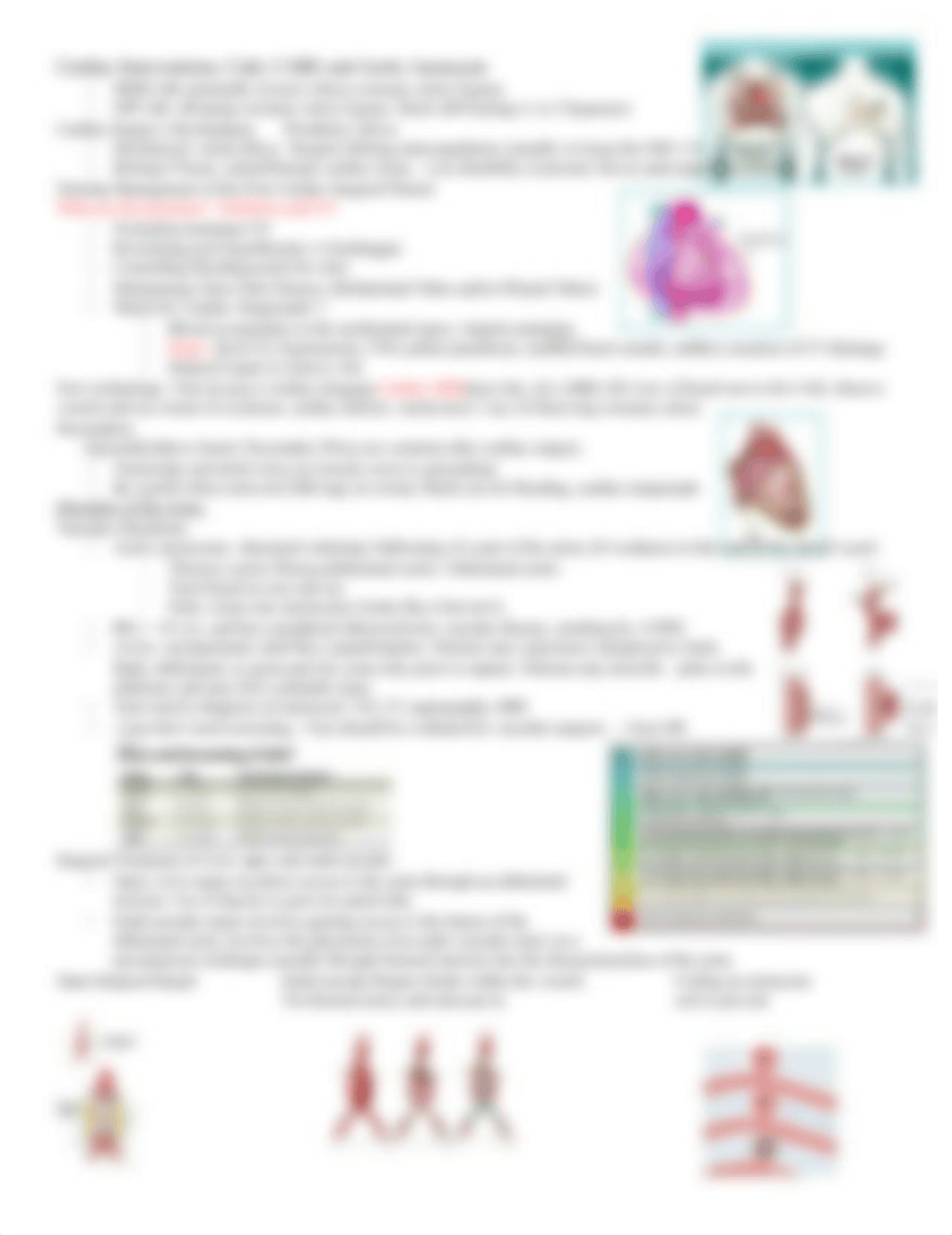 Cardiac_Interventions_Cath_CABG_and_Aortic_Aneurysm___.docx_dwo5brz4obu_page2