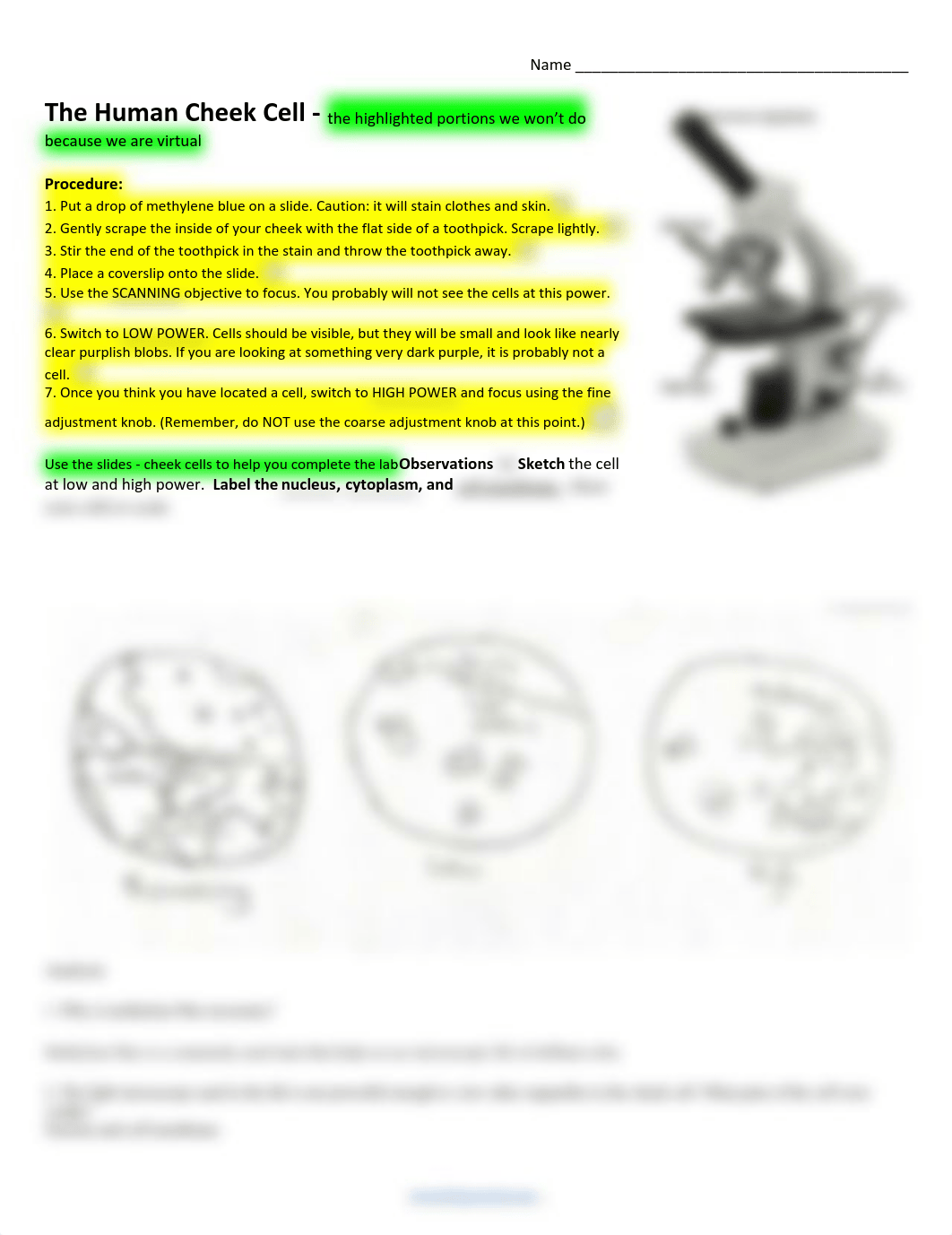 virtual human cheek cell lab procedure and data - 3799270.pdf_dwo7ynauokp_page1