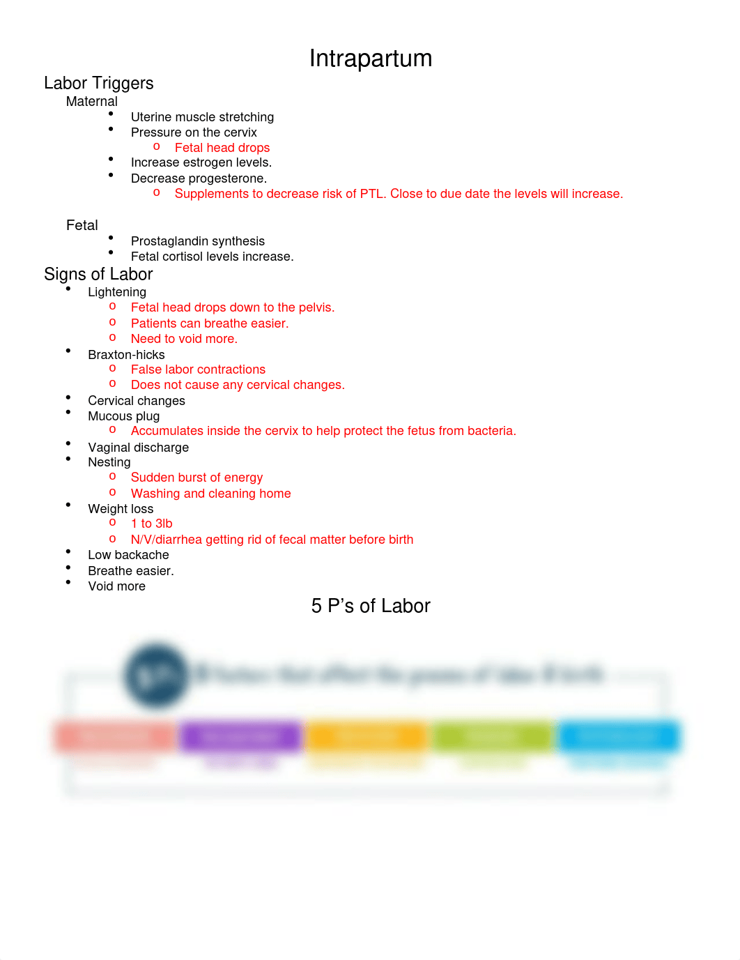 exam 2 notes.docx_dwo9ji66pah_page1