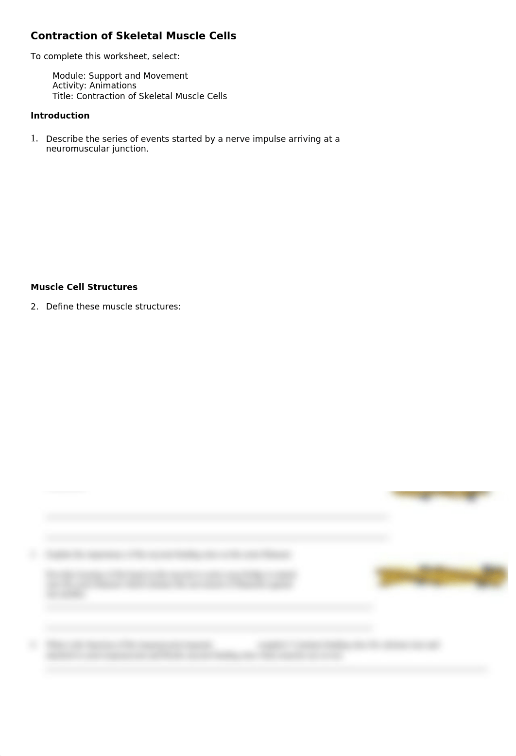 Contractions of skeletal muscle cells.doc_dwohkyyw5c9_page1