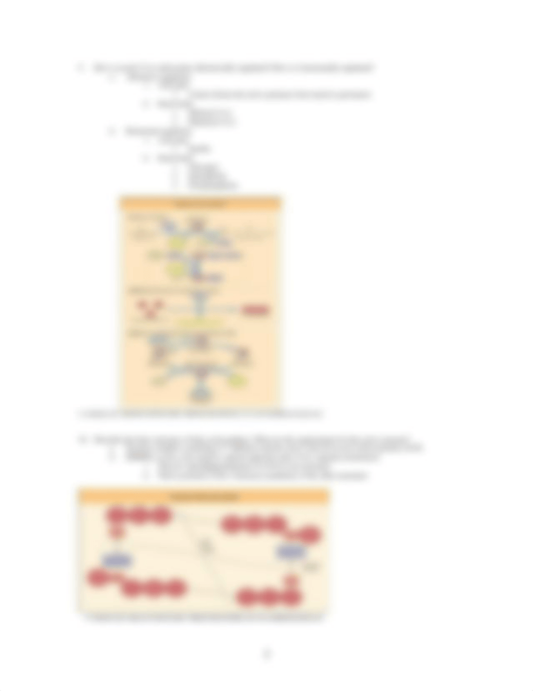 Biochemistry Review Questions - Fatty Acid Metabolism I_dwoj3nxqn6q_page3