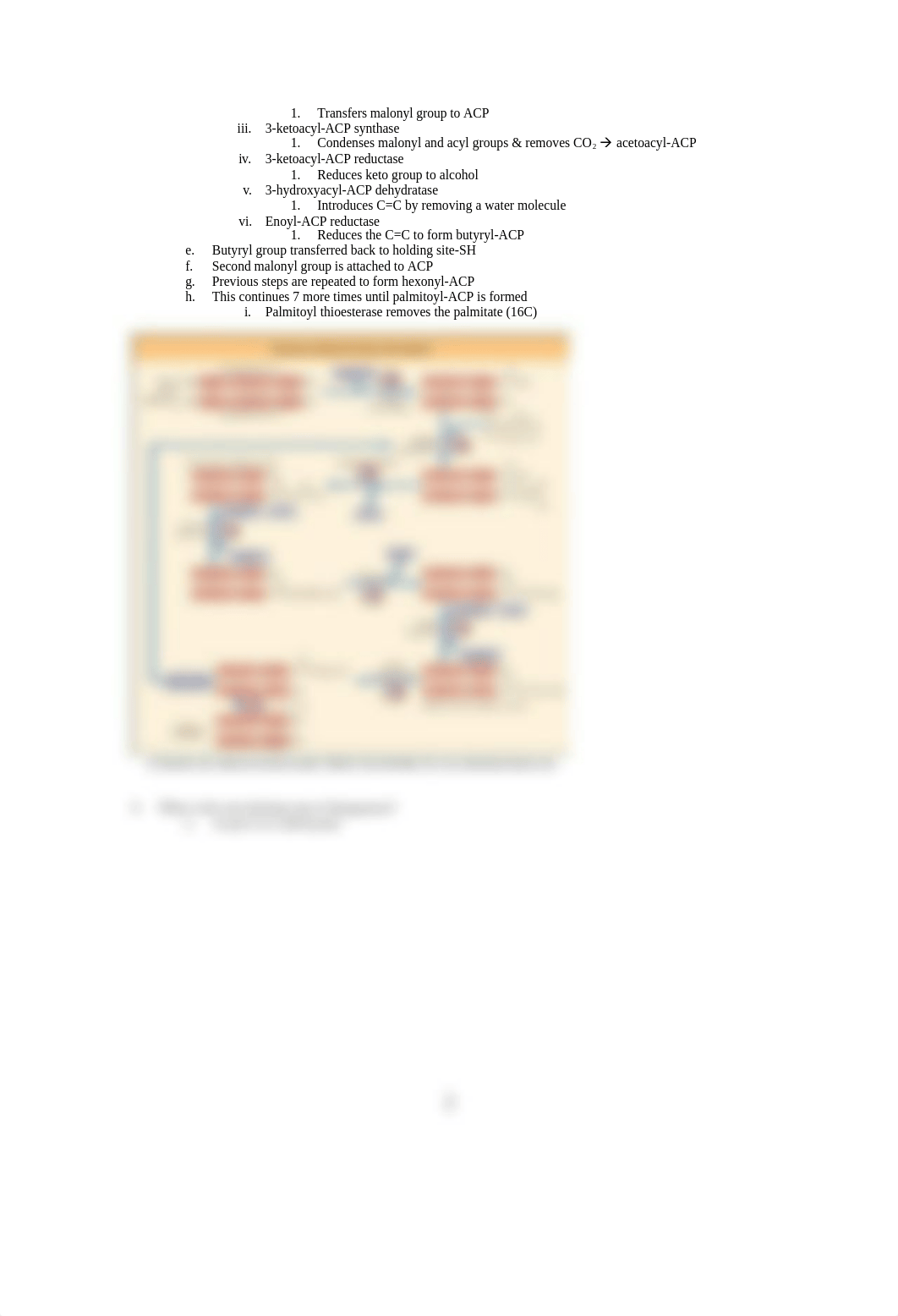 Biochemistry Review Questions - Fatty Acid Metabolism I_dwoj3nxqn6q_page2