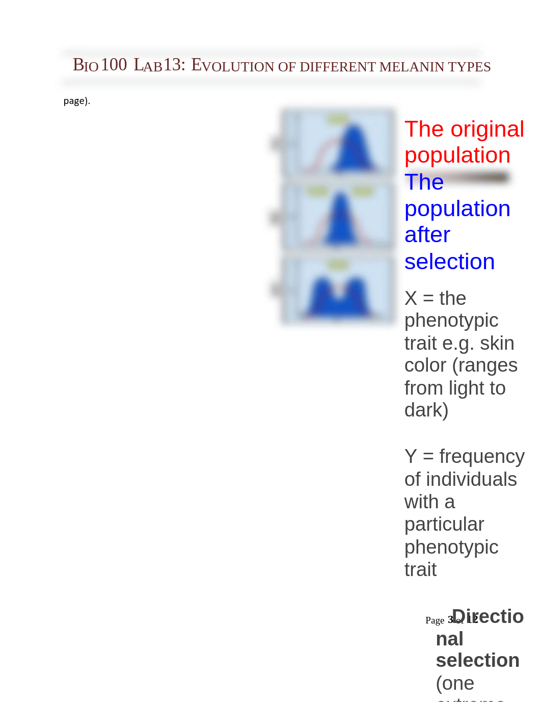 Chevrette Lab 13 -Evolution of different melanin types.pdf_dwojqx0ln29_page3