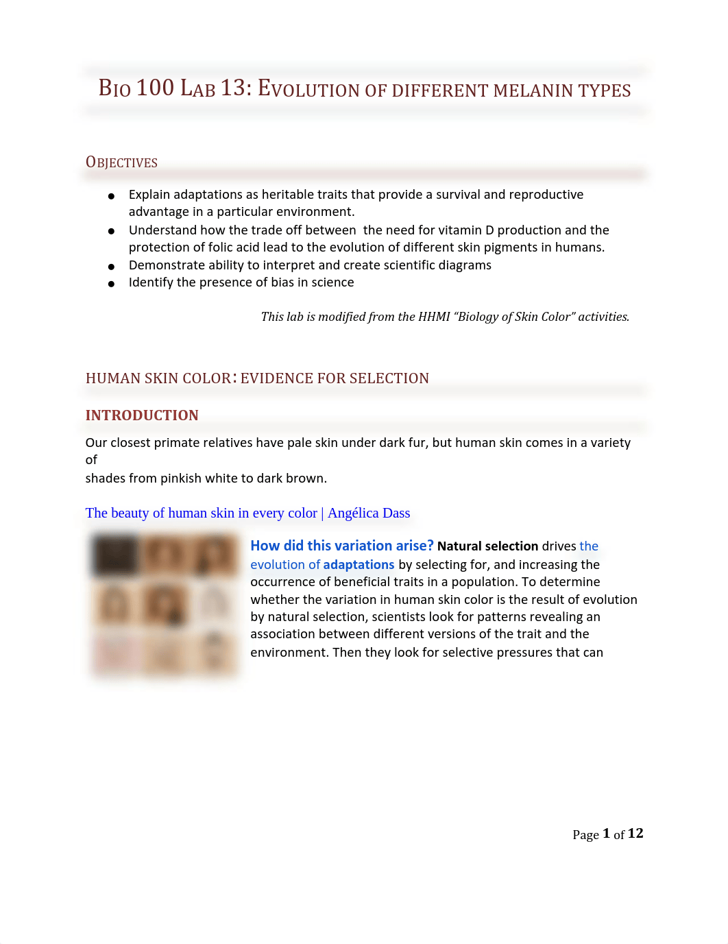 Chevrette Lab 13 -Evolution of different melanin types.pdf_dwojqx0ln29_page1