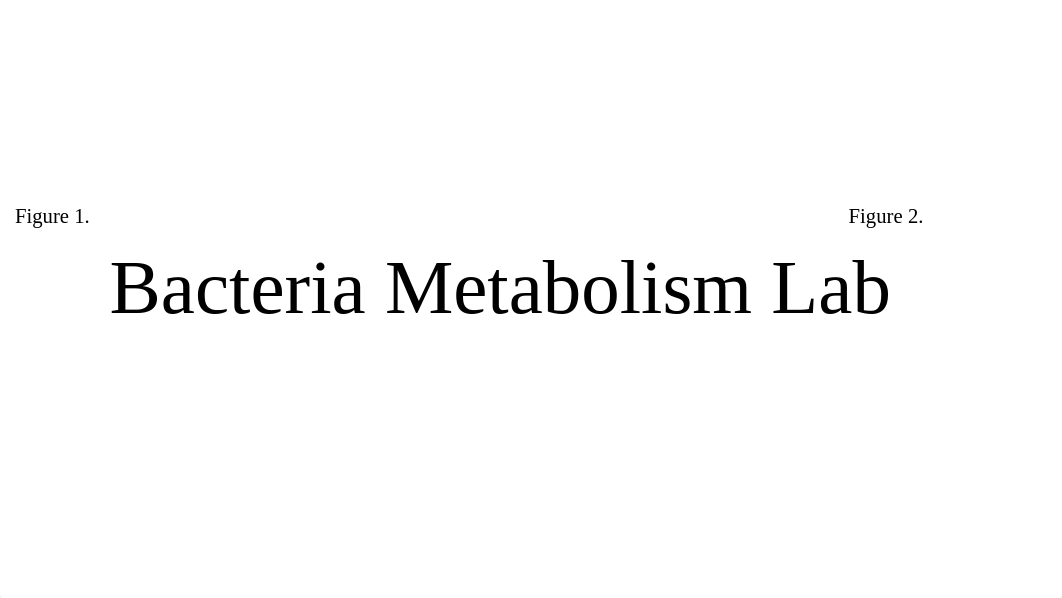 Bacteria Metabolism Lab.pptx_dwoq95p39uq_page1