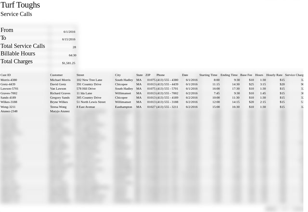 Turf Toughs Service Calls_dwp4liih9sx_page2