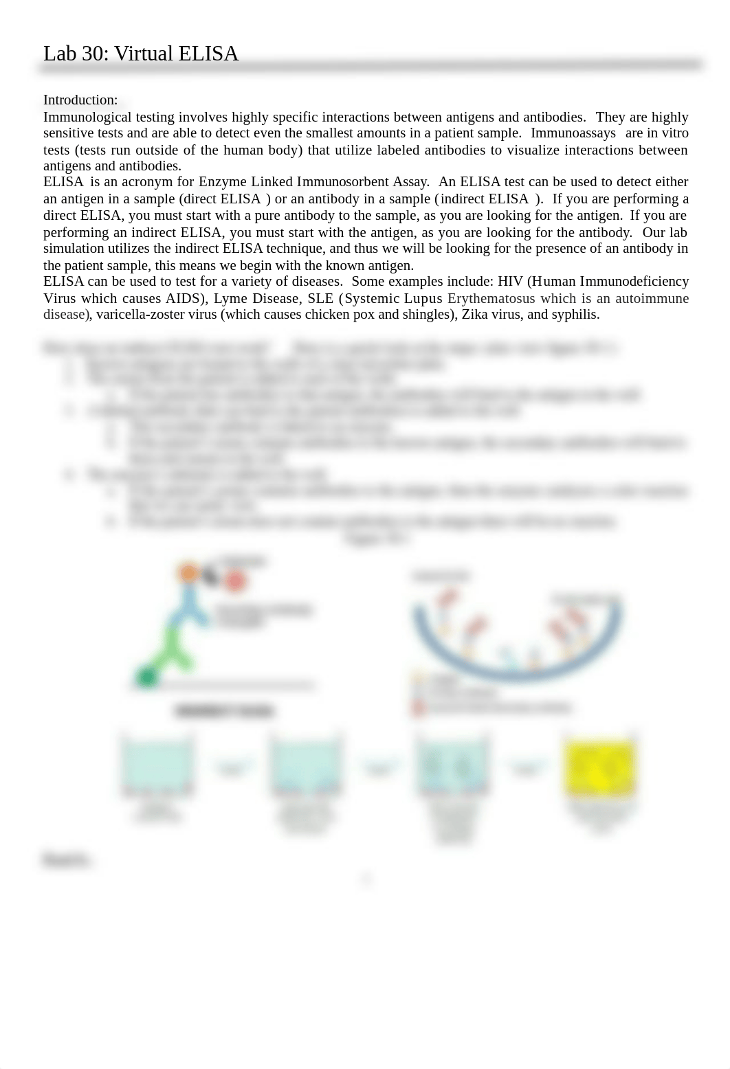 Lab 30 Virtual ELISA (1).docx_dwpdbghka47_page1