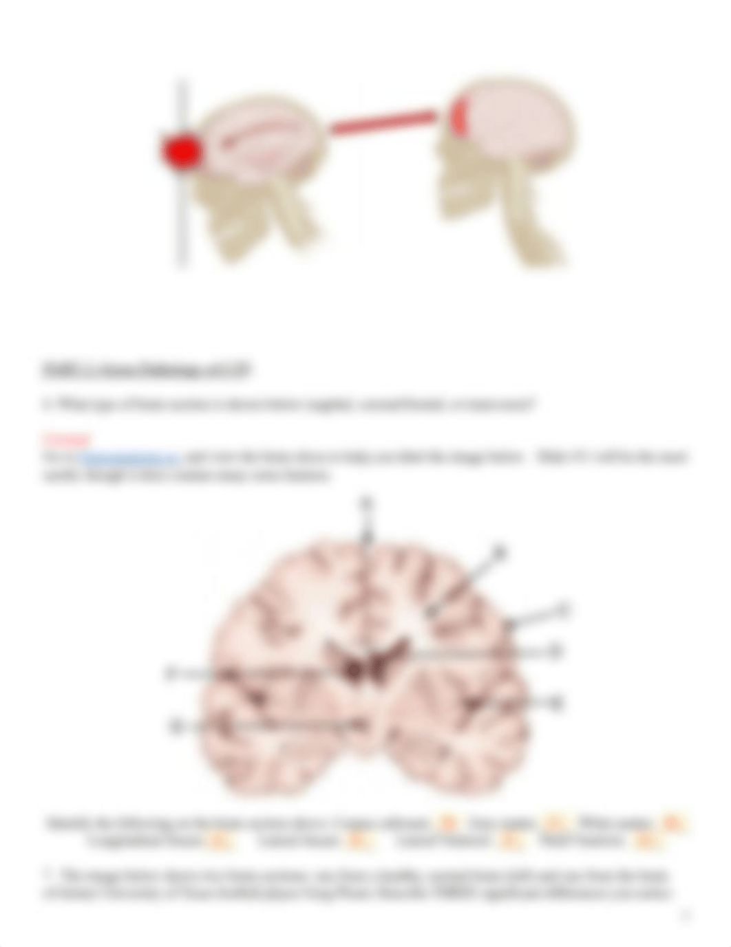 Investigation_ Concussions DONE.pdf_dwpe2cyc4ut_page2