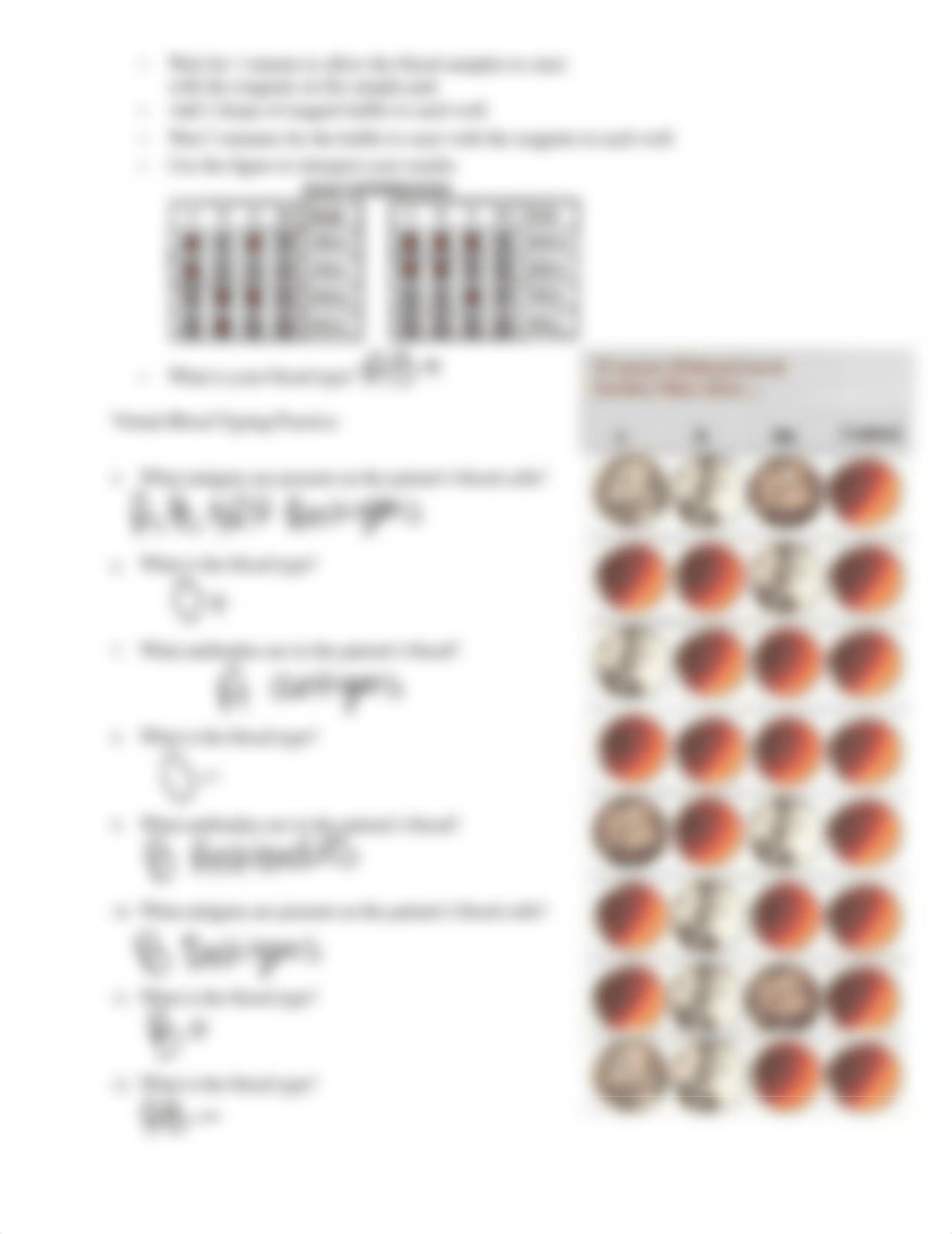 BIO 169 Lab 2.pdf_dwpg77obvla_page2