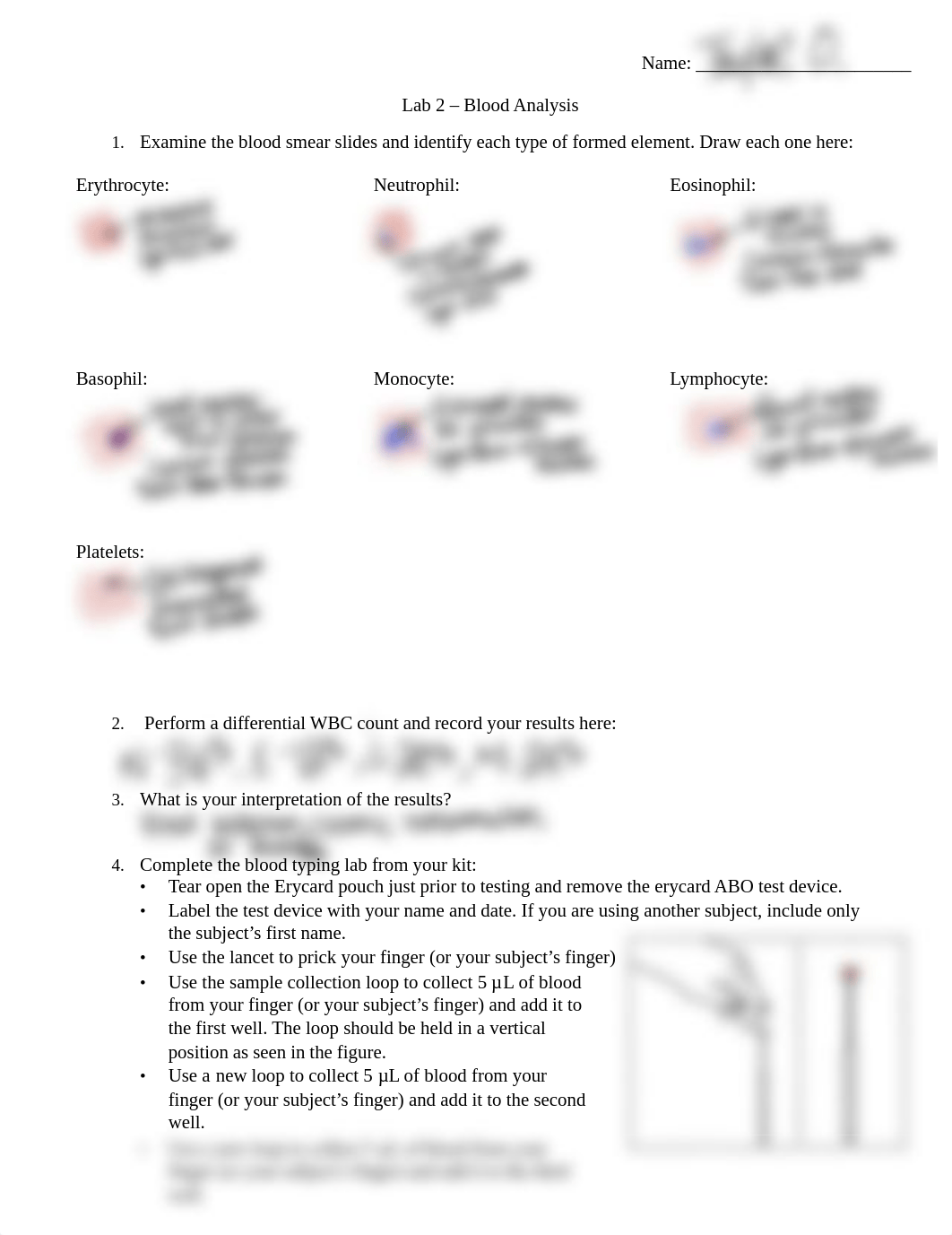 BIO 169 Lab 2.pdf_dwpg77obvla_page1