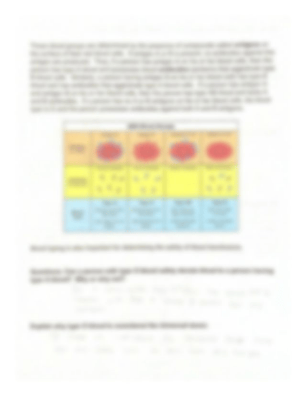 Bio Lab 12.pdf_dwpn9etok73_page4