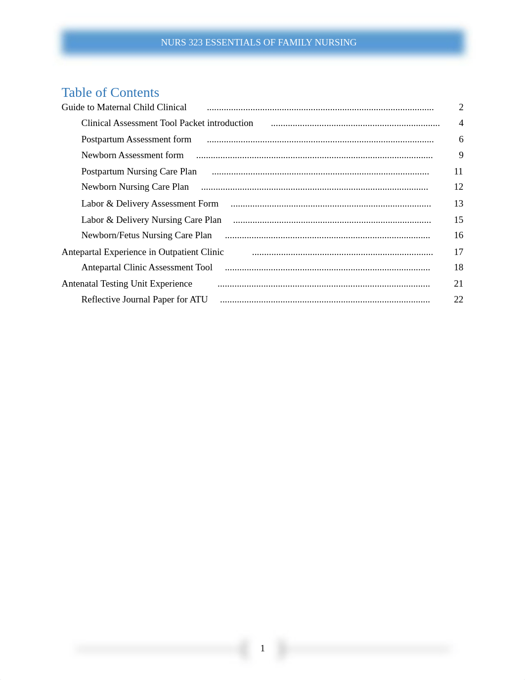 NURS323+MCH+CLINICAL+ASSIGNMENT+PACKET+2018+V1.3.pdf_dwpq2bde334_page2