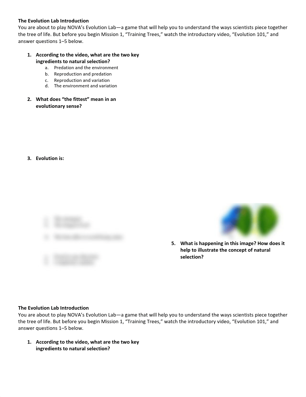 LS8 Activity 2-3_ NOVA Evolution Lab-1.pdf_dwpsa9nm21g_page1