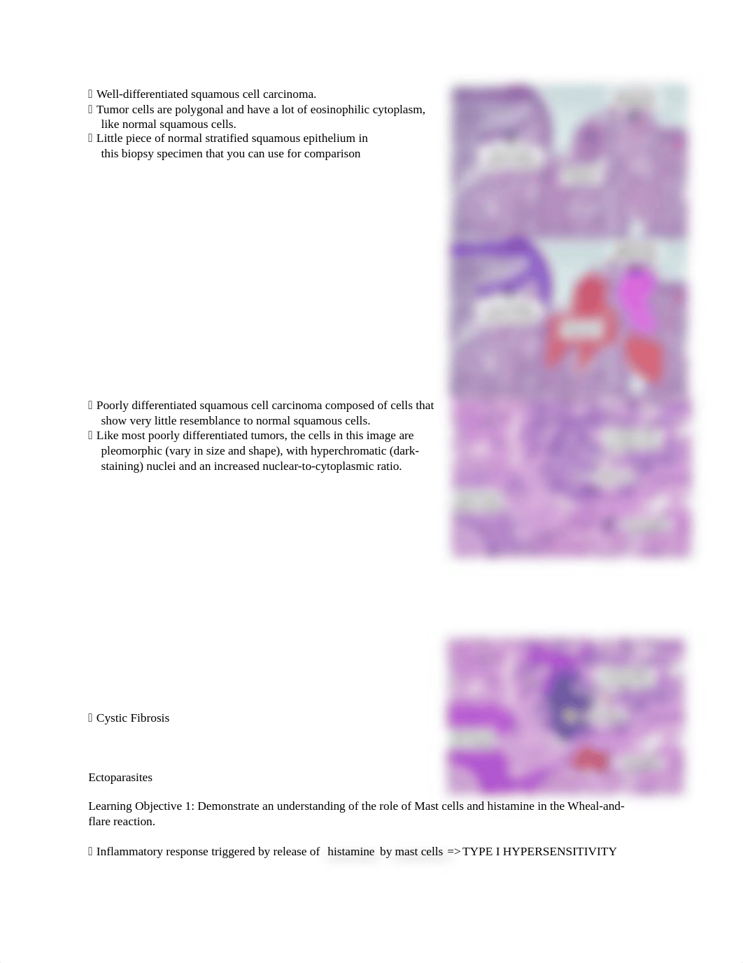 Mini III.docx_dwpt29fpx3x_page1