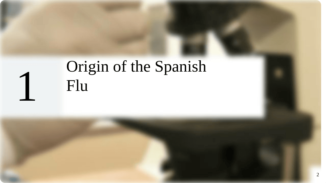 Copy_of_Spanish_Flu_dwpv9x1a67i_page2