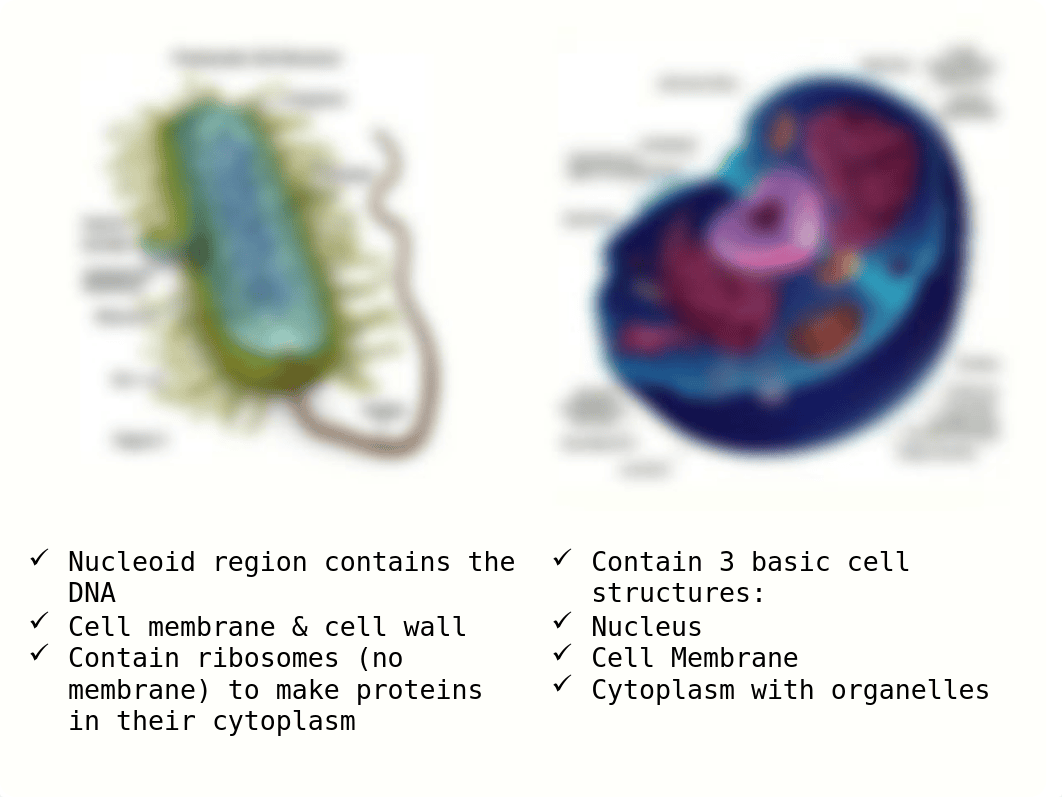 1 Introduction to Biochemistry.ppt_dwq3vt9whgd_page5