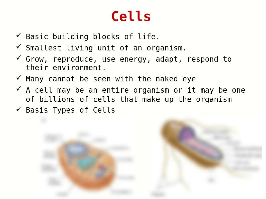 1 Introduction to Biochemistry.ppt_dwq3vt9whgd_page4