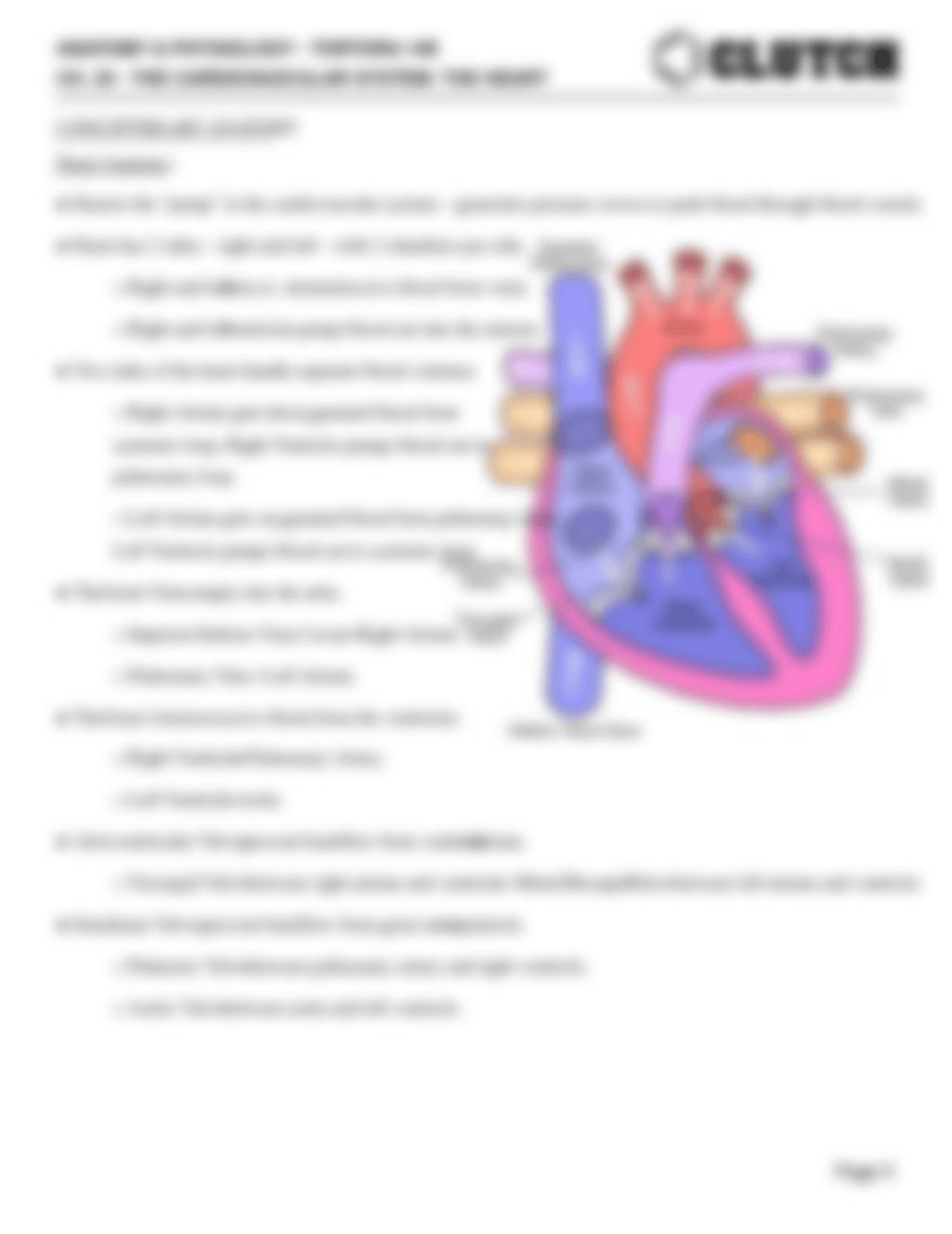 HeartNotes.pdf_dwq5g0awohl_page5