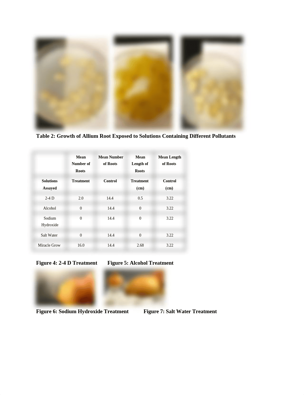 Lab_Report_9__dwq9xr4352j_page2