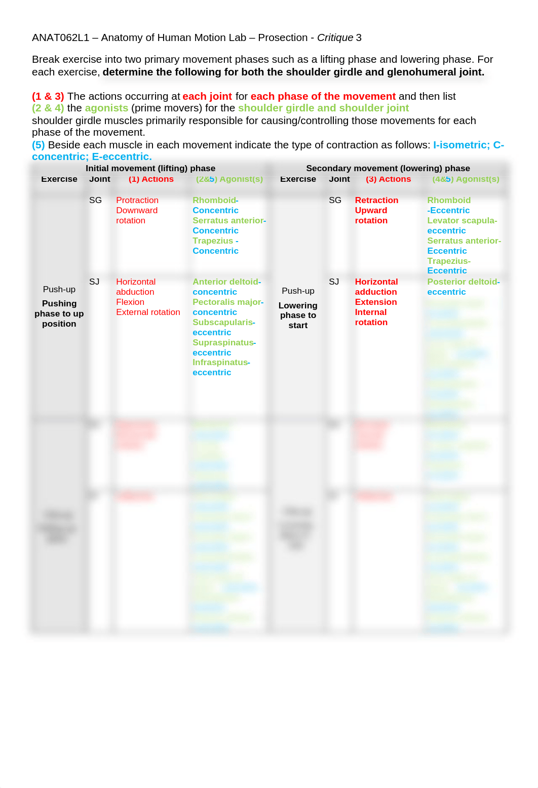 ANAT062L1-Critique3-2.docx_dwq9yd5c1kt_page1