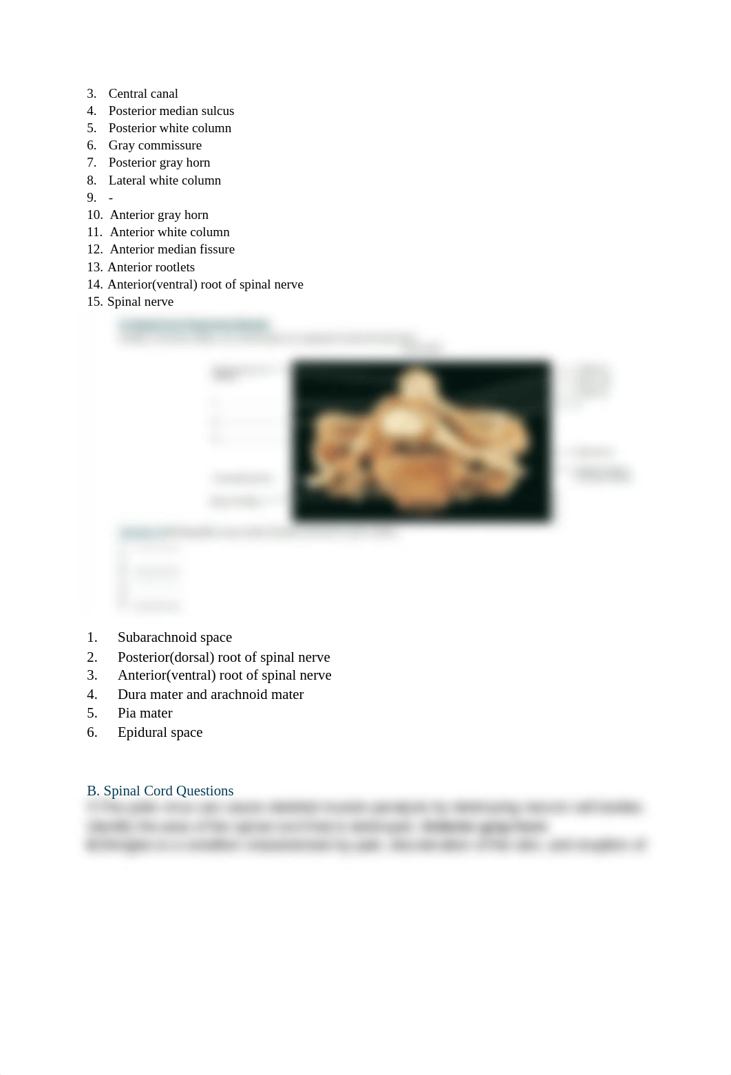 Lab 17_dwqapon2mjj_page3