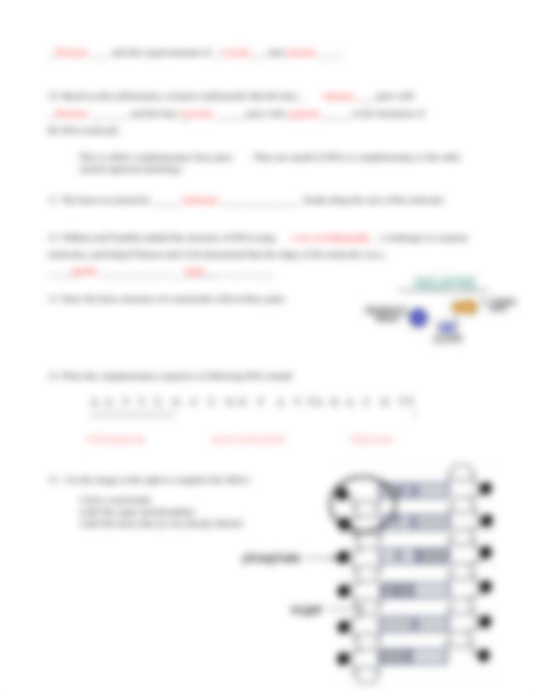 Copy of Vasupradha Diwakaran - DNA-Worksheet.pdf_dwqcvcje041_page2