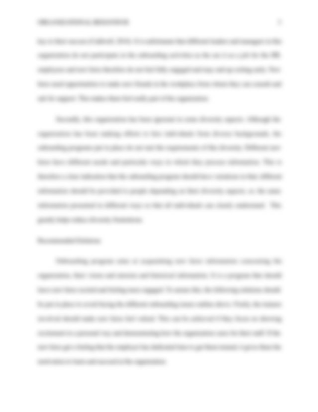 The Organization and the Issue to Resolve.docx_dwqq5gqevhu_page3