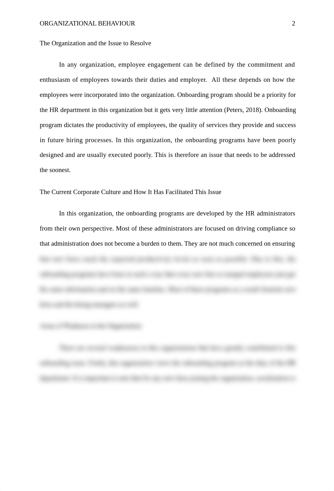 The Organization and the Issue to Resolve.docx_dwqq5gqevhu_page2