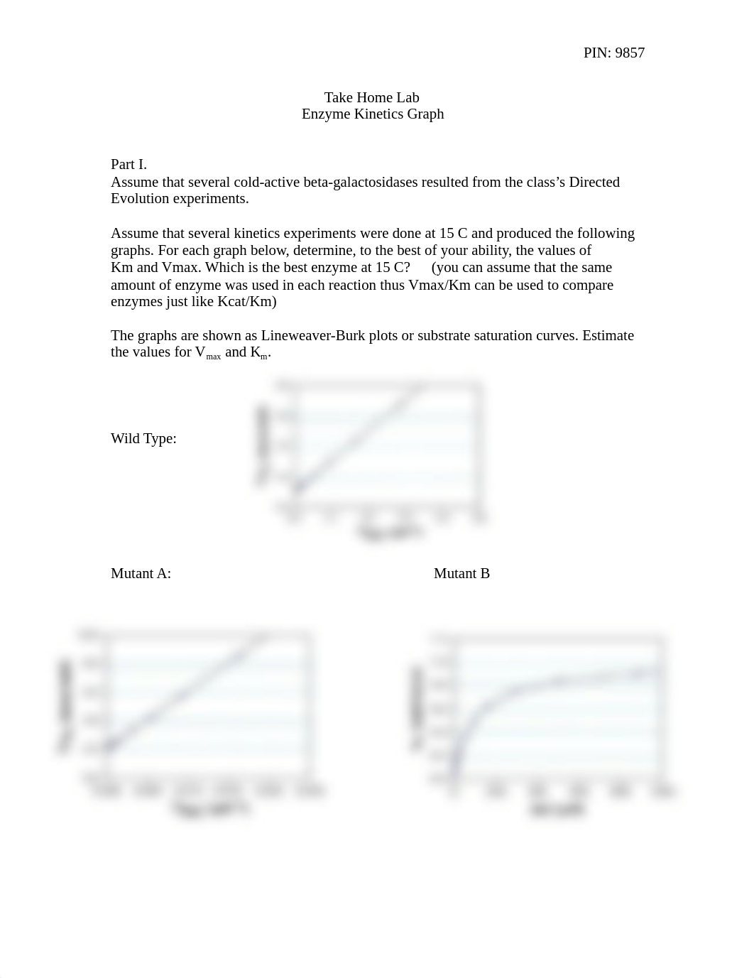 Moss_Take Home Kinetics lab Enzyme graphs_dwqv7bpg1tg_page1