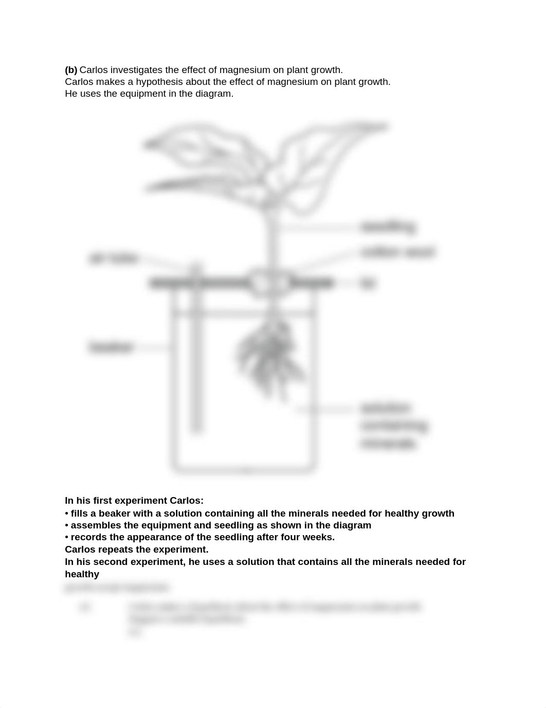 Photosynthesis.docx_dwqvv9mumwk_page2