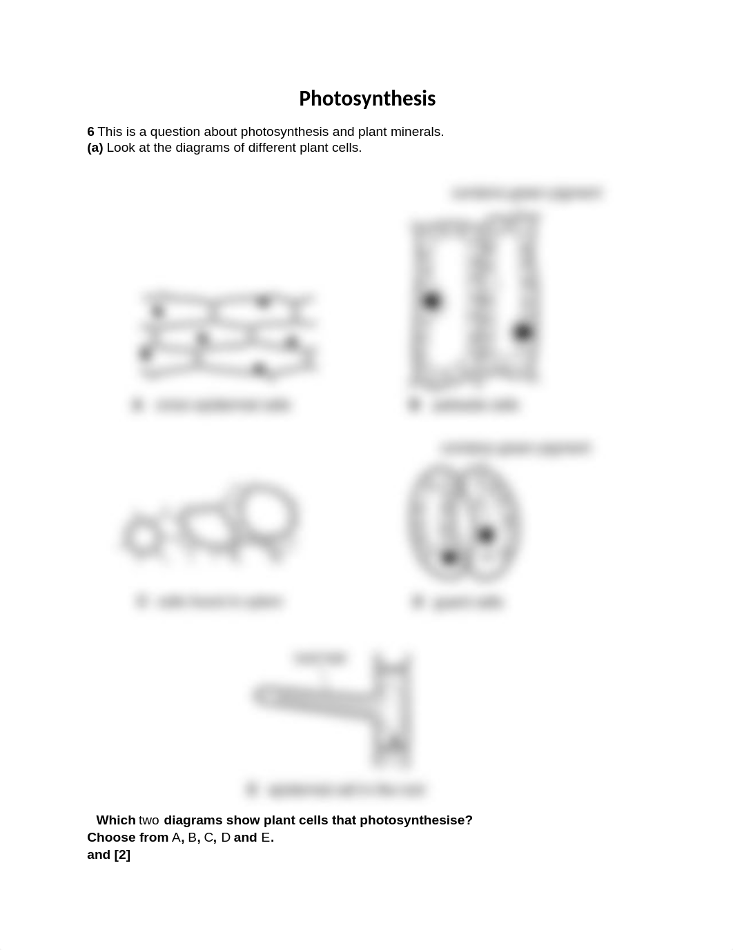 Photosynthesis.docx_dwqvv9mumwk_page1