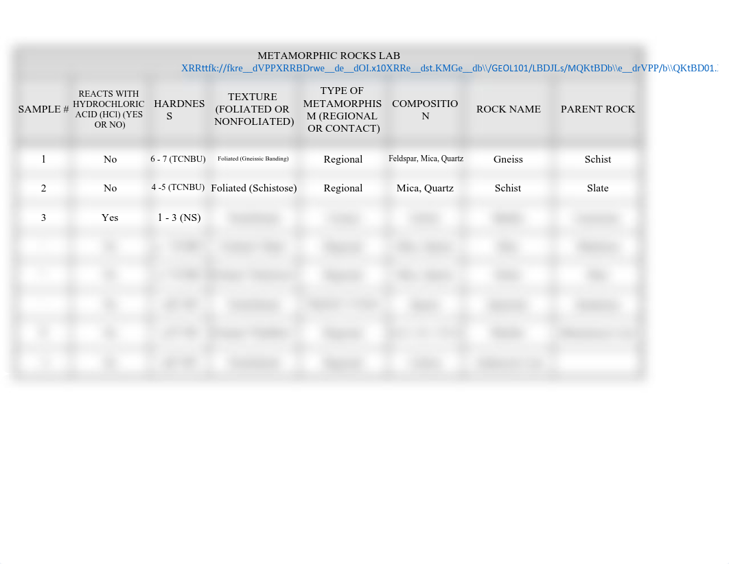 ONLINE Lab Metamorphic Rocks - Sheet1.pdf_dwqvz1rk1jx_page1