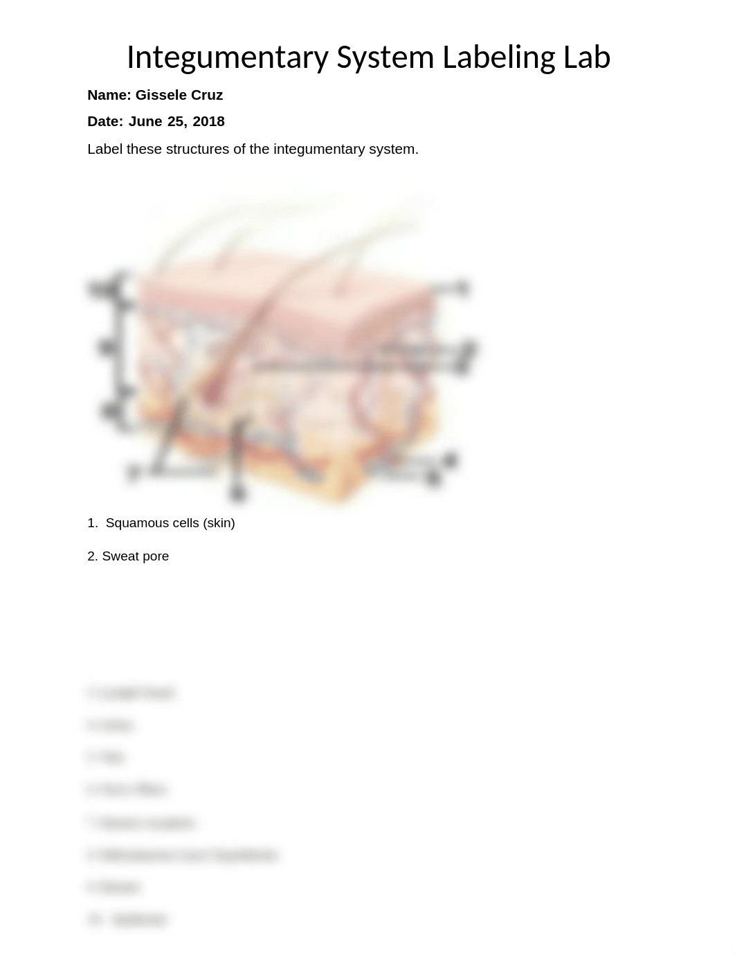 Integumentary System Labeling [G.Cruz].docx_dwqwn0rz8x0_page1