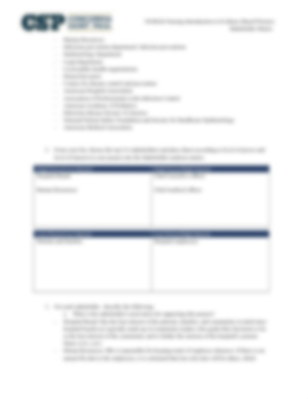 NUR426 Stakeholder Matrix.docx_dwr9srux0o5_page2