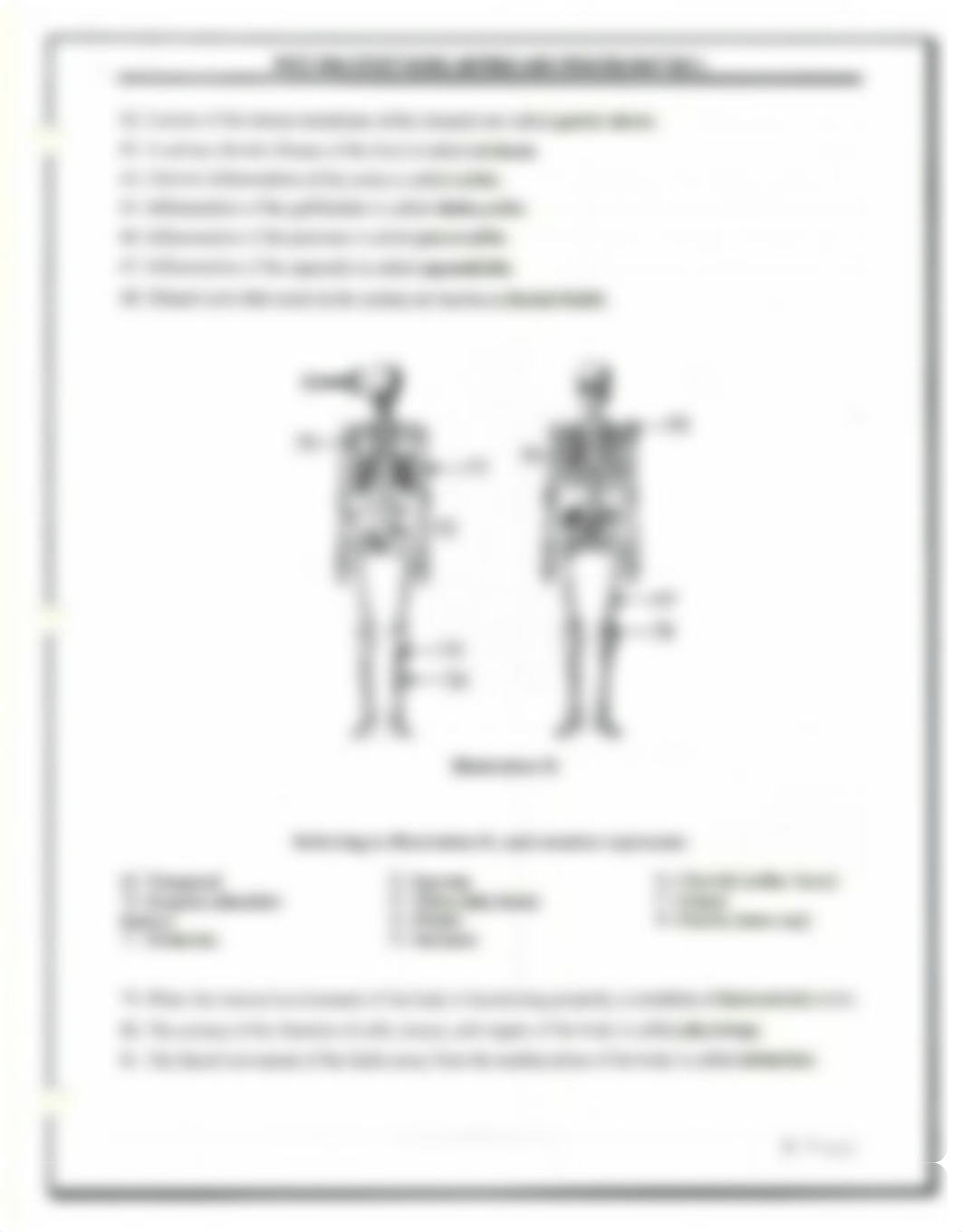 NCCT Test_dwra62qzspk_page3