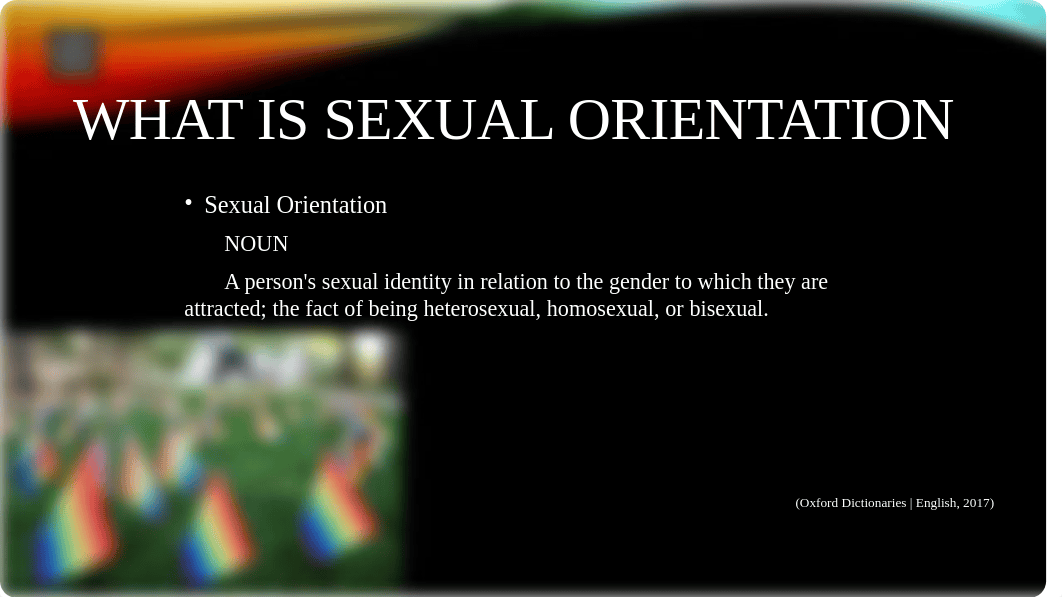 Sexual Orientation_FINAL.pptx_dwrbiughrf5_page3