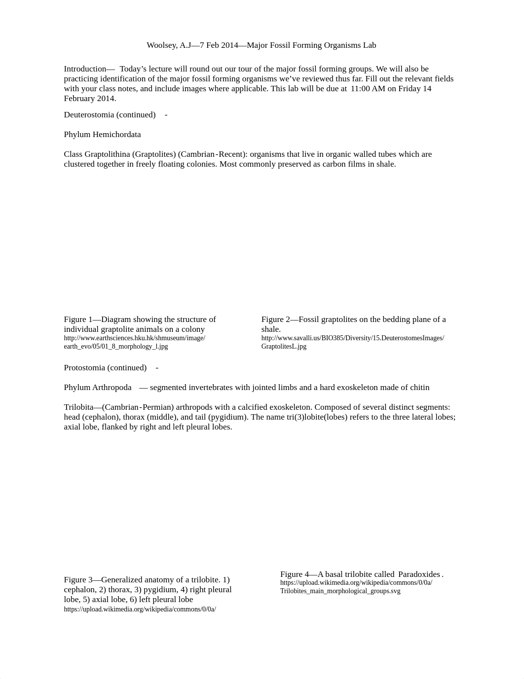 Fossil Groups Lab_dwrk9pk7o8e_page1