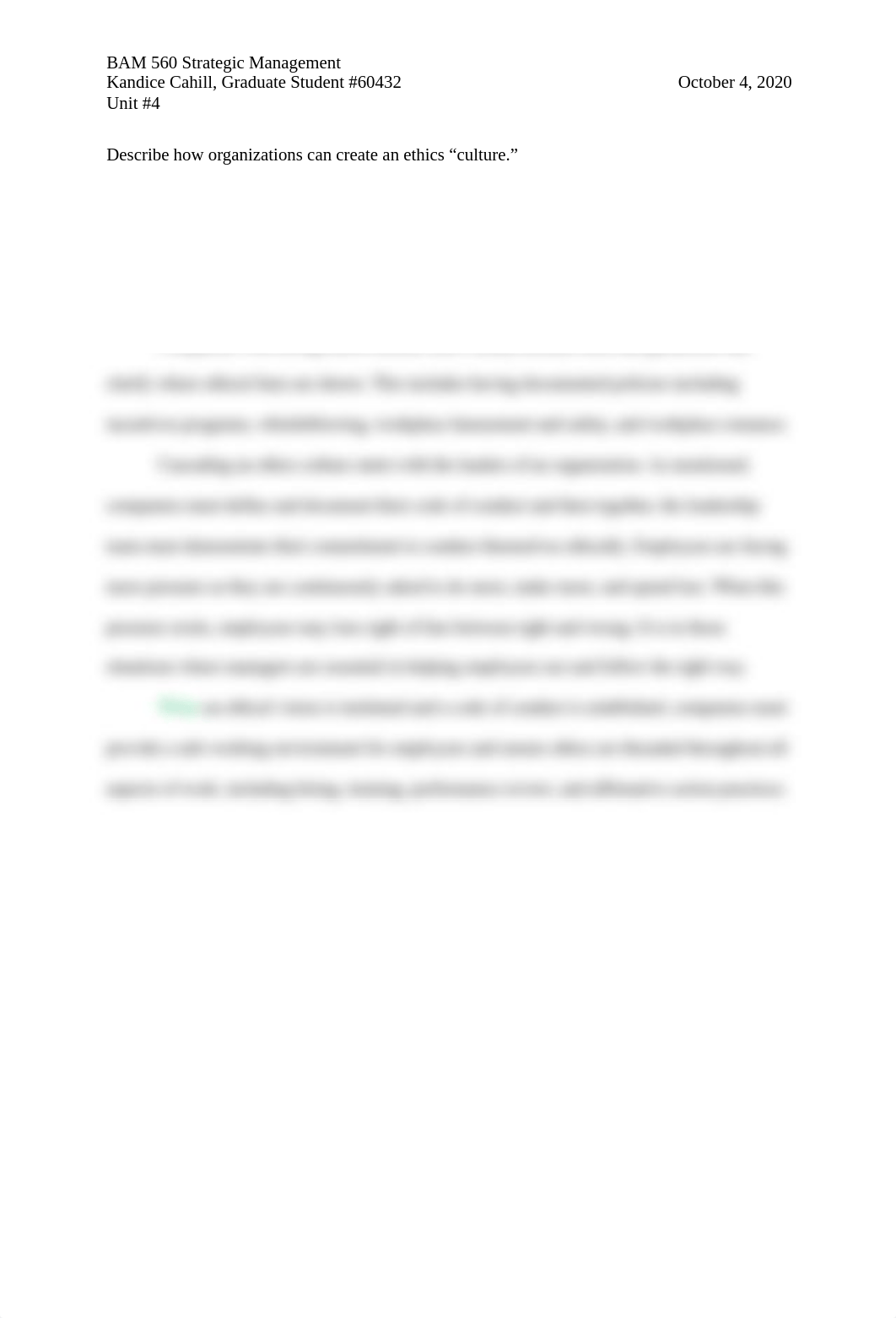 BAM560 Unit Essay Exam 4.docx_dwrn478snes_page1