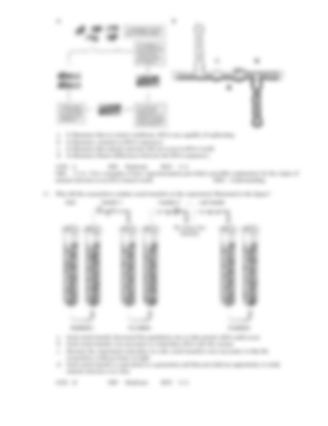 bang bang Evolution exam 3 bang bang.pdf_dwro1rfbgxa_page4